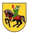 Herb  Nowe Miasto Lubawskie Community